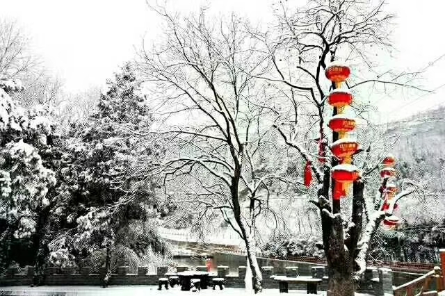 銀色高貴的裙裾，徐徐轉(zhuǎn)出優(yōu)美的芭蕾舞姿，涼爽和舒適瞬間溫柔擁你入懷！-瑞泰風(fēng)工業(yè)大風(fēng)扇