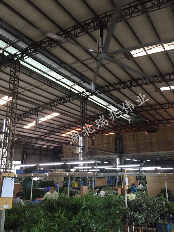 大型工業(yè)吊扇，效果好且省錢