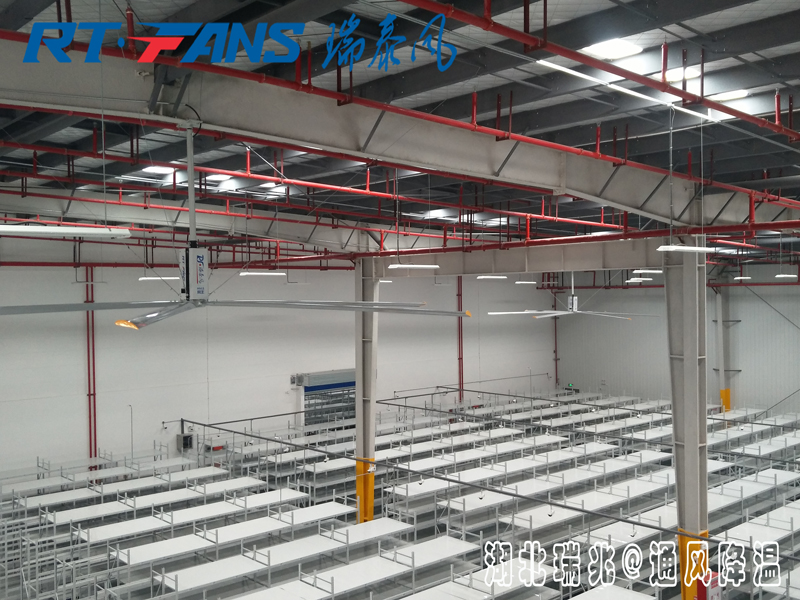 工業(yè)大風扇具體的通風降溫效果怎么樣，有什么作用呢