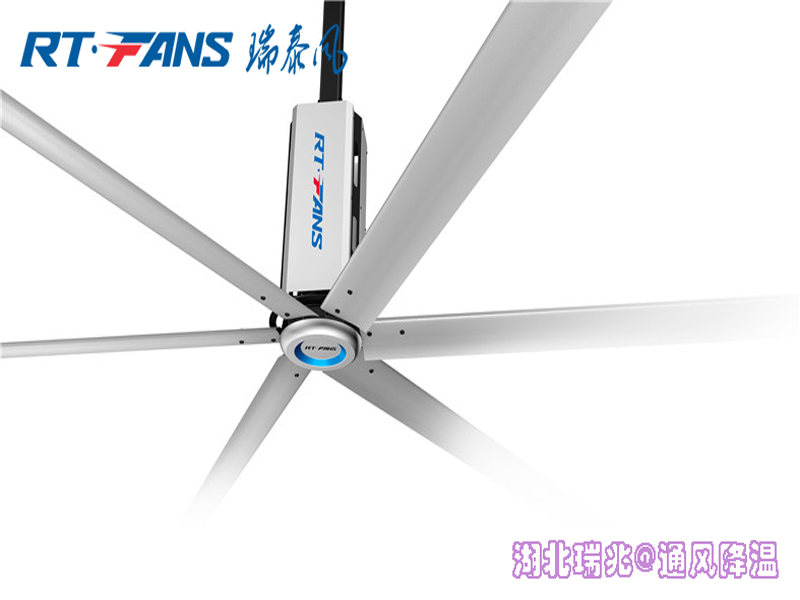 工業(yè)大風(fēng)扇舞動清涼，開啟清涼一夏